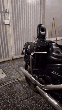 السلام عليكم اخوتي
هوندا ستد 600ccللبيع دراجة كلها بلاديه مكفوله كفاله عامه 

الدراجه مليانه تزويد كلشي شغال عل الوضع البلادي

جنط خلفيه

جنط اماميه

درع امامي 

درع خلفي

درع راديتر

غطوه تانكي

تجوه خلفيه

جامه ستيرن

مري نيكل

قفل خوذه

استرايح

زوج تايرات جدد برجرستون

و اكو اضافات و الدراجه الخوذه و قبق مال شوته ثاني و استرايح

ملاحضه/الدراجه بيها خربطه بسيطه لو مال كابريتر لو بلكات

ارجع و اكول المكينه مكفوله و الكهربائيات كله عل البلاد 

و اكو ملاحضات بسيطه نتفاهم عليه
العنوان /بغداد حي اور 
الرقم /***********
السعر خاص
