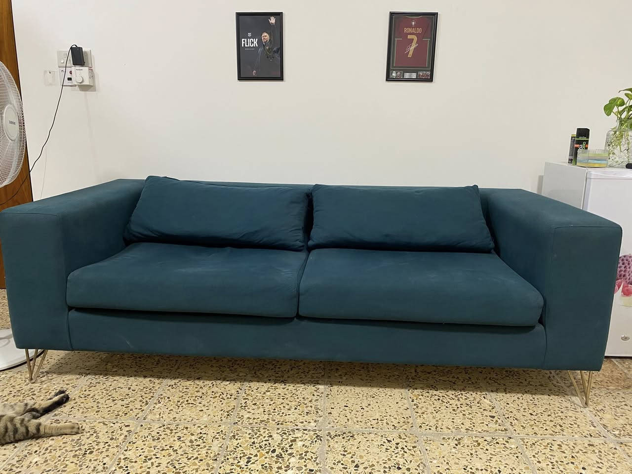 قنفة تركي ب٢٠٠ نضيفة وبيها مجال بسيط
الدورة الميكانيك


**إذا كنت صاحب هذا الإعلان وتريد حذفه لأي سبب، رجاءا أرسل رسالة إلى الدعم الفني**
