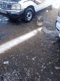 خدمات • قضاء العلم