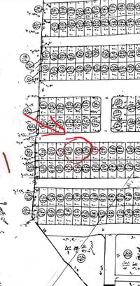 المنطقة ٢٢ • المنتوجات النفطية • ٢٠٠م
