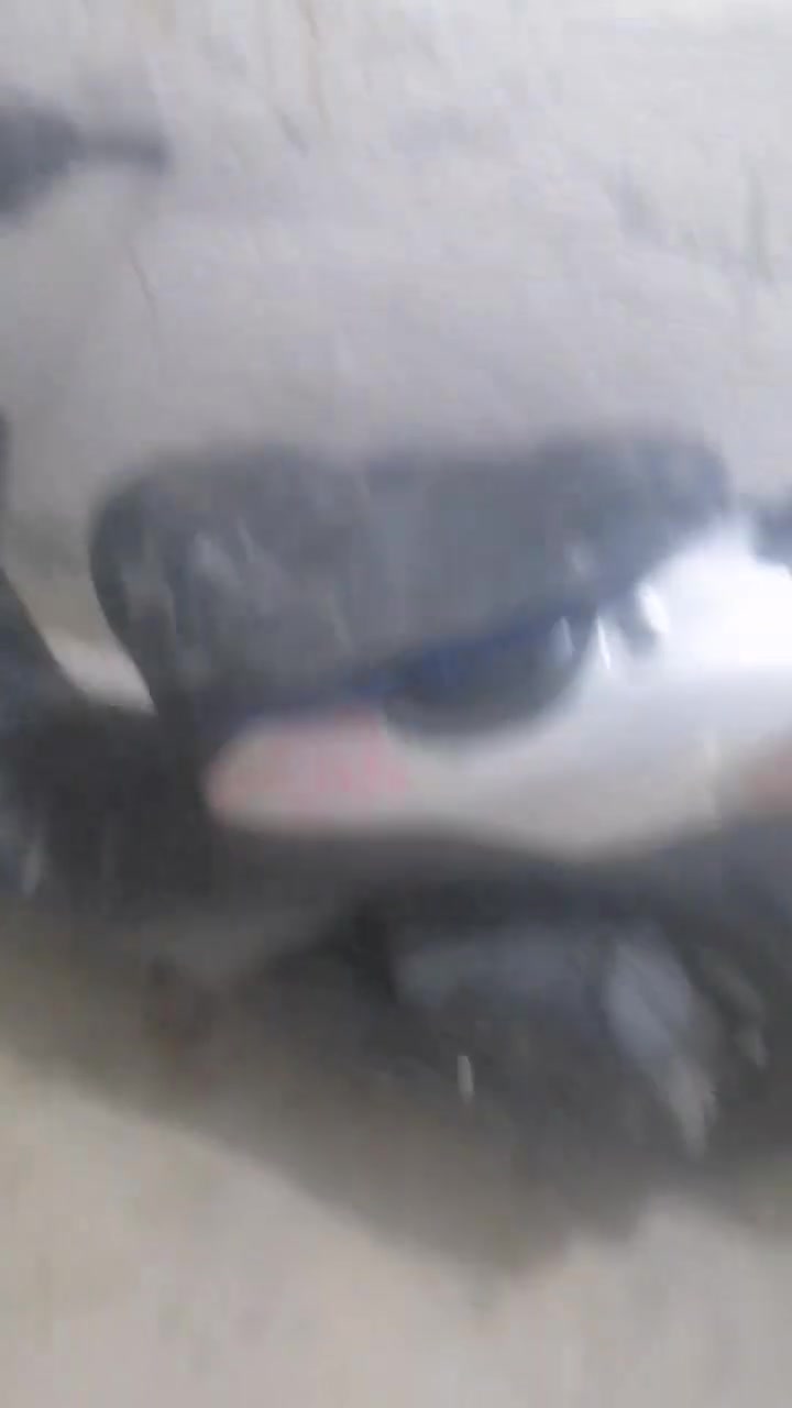 ذبانه ساسوكي مسطره مابيهه اي عطل فقط مابيهه ستان سعر 200 وبيهه مجال


**إذا كنت صاحب هذا الإعلان وتريد حذفه لأي سبب، رجاءا أرسل رسالة إلى الدعم الفني**