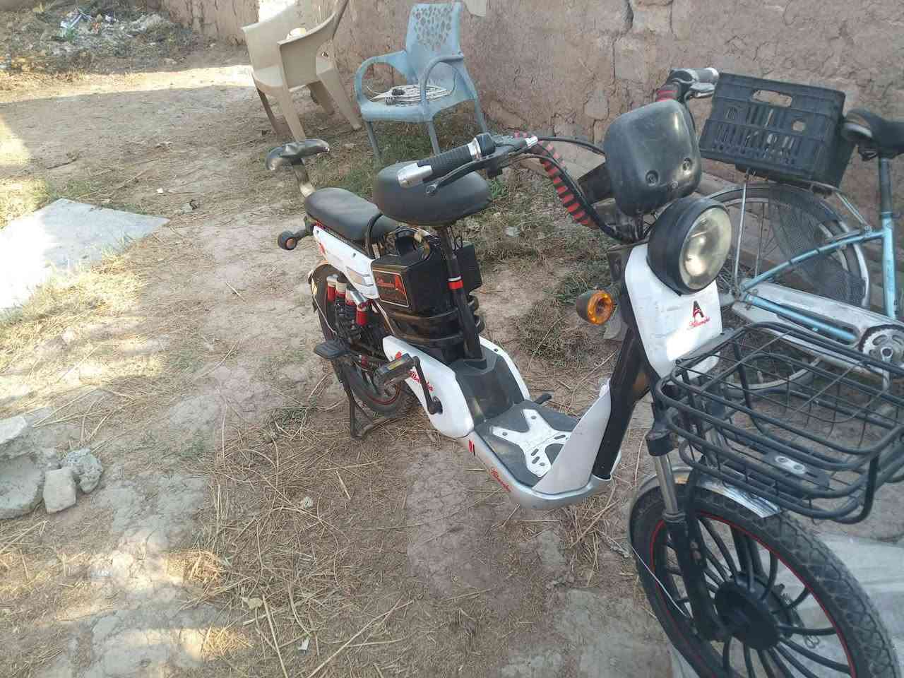 سلام وعليكم دراجه شحن البيع نضيفه كلش بطاريات جدد عل فحص اني وياگ اي نقص مابيه الدراچهه
موديل 2023 
مكاني بغداد تاجي منشأ نصر 
السعر 225وبيها مچال الطيبين 
رقم الهاتف *********** كورگ
رقم الهاتف *********** اسياء
