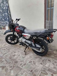 بوكسر جبلي • ٢٣ • اوراق ستنساخ