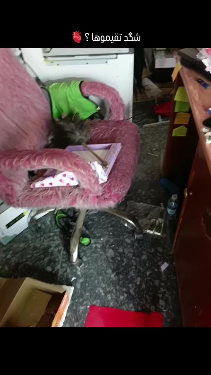 البوكس خاص بالفلانتاين قطع محدودة 
الديوانية _ الشامية _ الصوب الصغير الغير مقابل المفوضية


**إذا كنت صاحب هذا الإعلان وتريد حذفه لأي سبب، رجاءا أرسل رسالة إلى الدعم الفني**