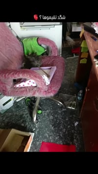 بوكس فلانتاين • قطع محدودة • الصوب الصغير