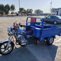 موديل 23 • كفالة عامة • رقم سنوية