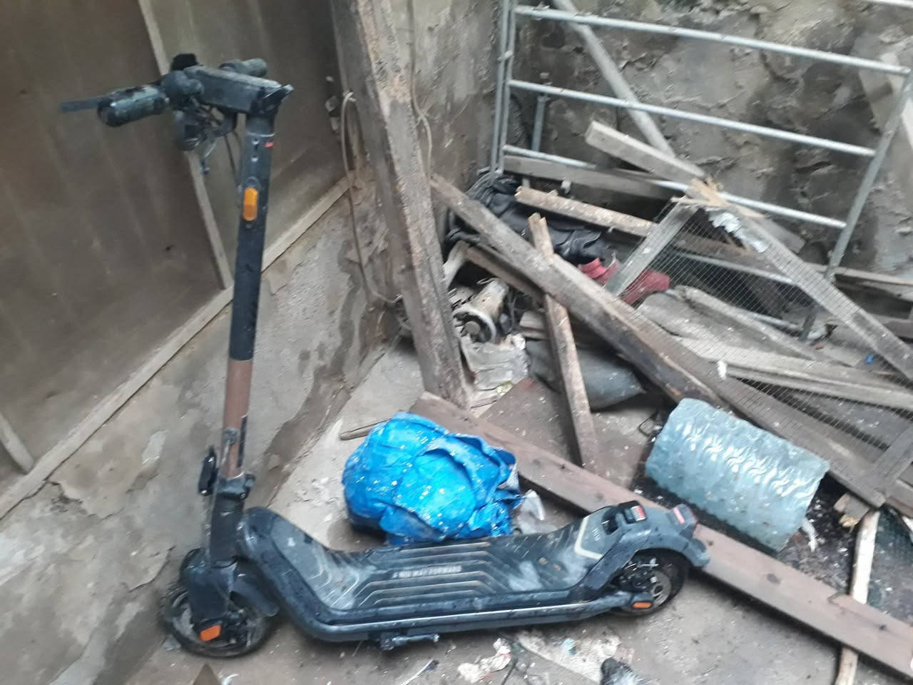 متاح ابيعهن جف تراب قيمه اخدهن تسعين


**إذا كنت صاحب هذا الإعلان وتريد حذفه لأي سبب، رجاءا أرسل رسالة إلى الدعم الفني**