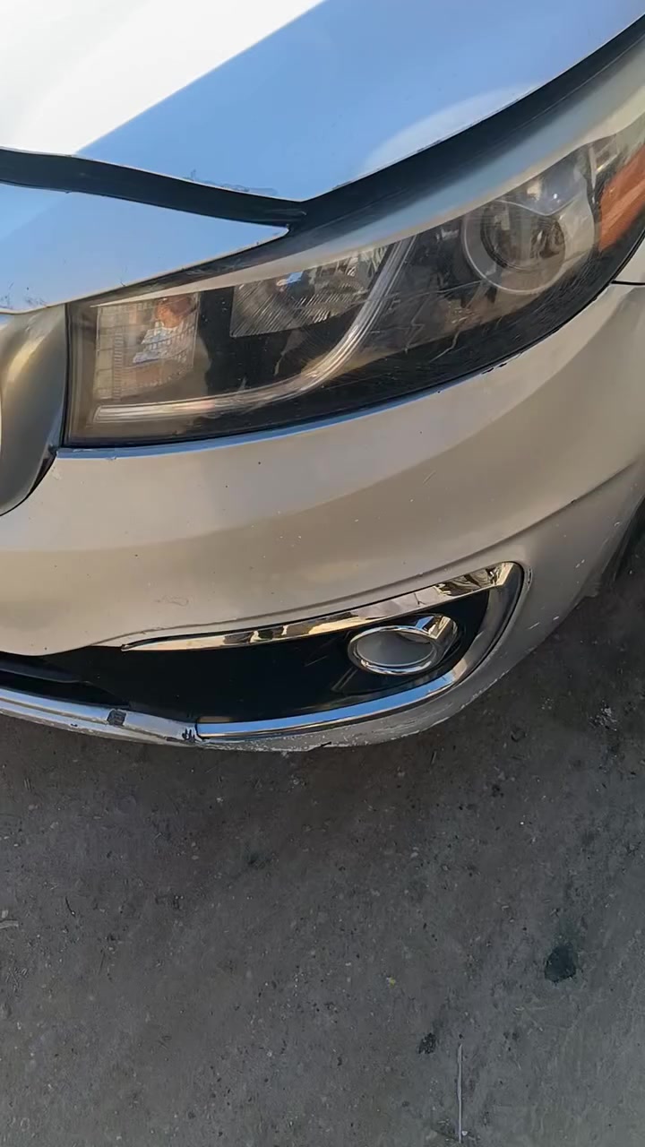 كل عام وانتم بالف الف خير ربي يحفظكم تحوير كشنات للسيدونا وللكرنفال حديث وقديم امامي  مكاني بلرميثه واتساب ***********
