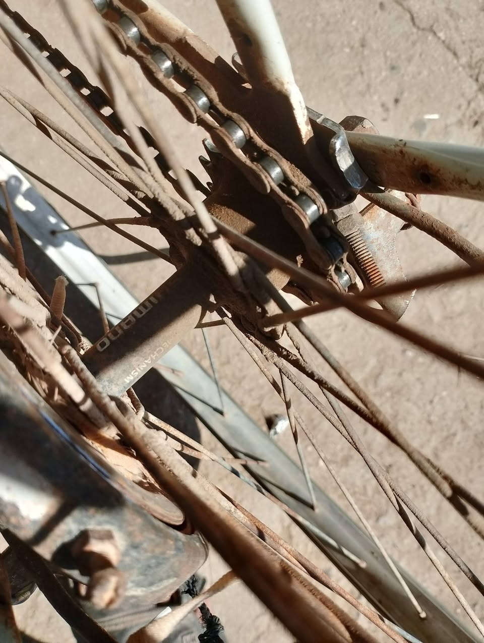 السلام عليكم باسكل حجم 26مكان بابل الدبله منطقة الصفره السعر 60الف وبي مجال باسكل نذيف كلش


**إذا كنت صاحب هذا الإعلان وتريد حذفه لأي سبب، رجاءا أرسل رسالة إلى الدعم الفني**