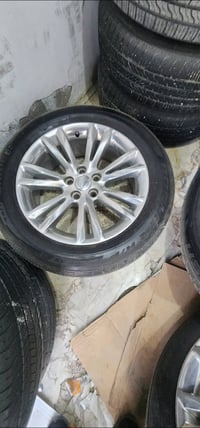 ويل مكسيكي • نظافة ٩٠٪ • فطر بسيط