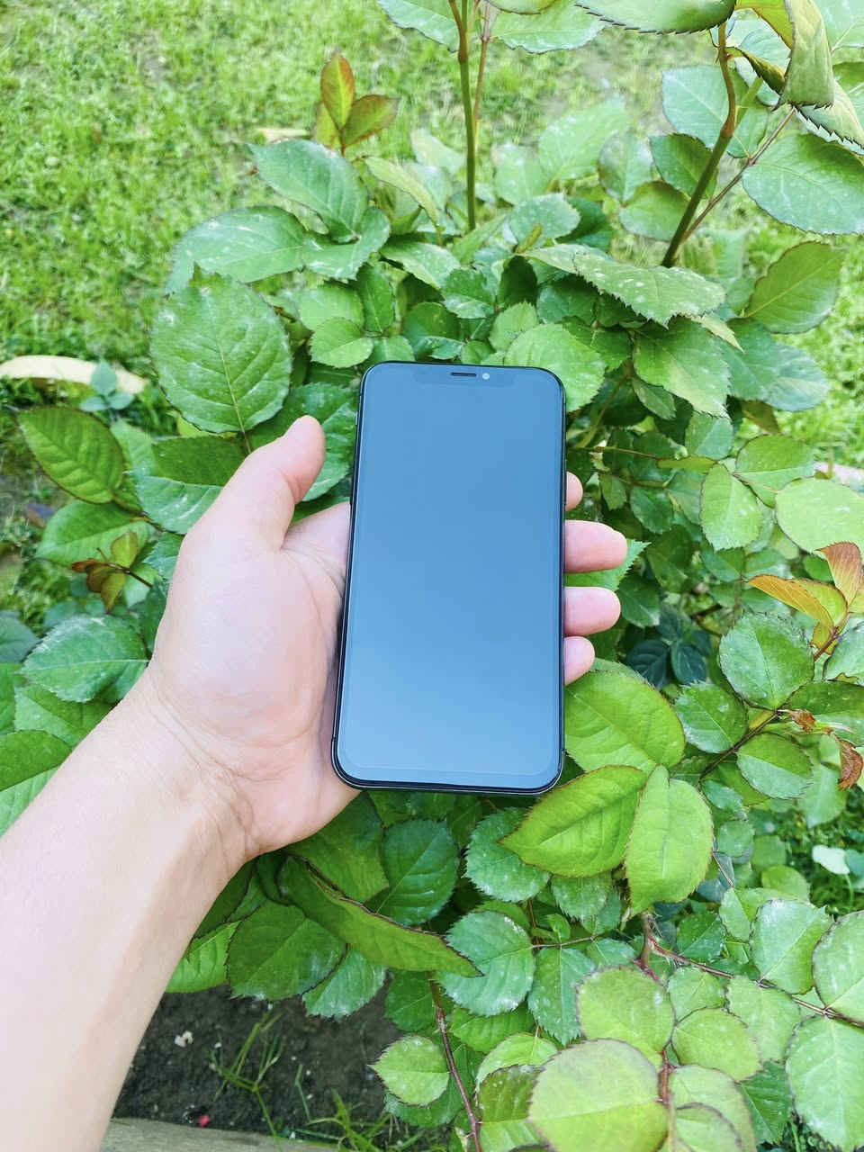 ايفون X عادي
ذاكرة 64 بطارية 100 نموذج M امريكي شرط تك سيمكرت مبدل بطارية اصلية وشاشة اصلية كامرات طبع فيس ايدي  متوقف جهاز شخط ما بي كله شغال السعر 125 وبي مجال بسيط


**إذا كنت صاحب هذا الإعلان وتريد حذفه لأي سبب، رجاءا أرسل رسالة إلى الدعم الفني**