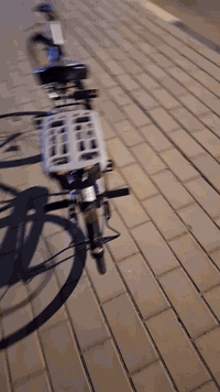 بايسكل باله كفاله مديل 20حجم 26متعوب عليه بايسكل محتاج اريد ابيعا مكاني بصره شراي خاص  او واتساب موشراي لايجي ويتعبني *********** لحد يصير لوتي براسي
