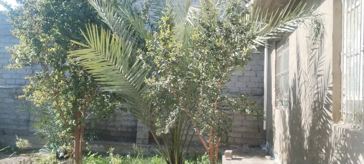 السلام عليكم بيت للبيع المساحة ٣٠٠م يحتوي بناء ١٥٠م حديقة ١٥٠م المكان الشعلة الدوانم شارع لابلوك السعر ٨٥ وبي مجال للإستفسار الاتصال علئ ارقم *********** مكلف بل نشر

