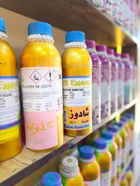 البيت الملكي للعطور • عروض رمضان • عطور متنوعة