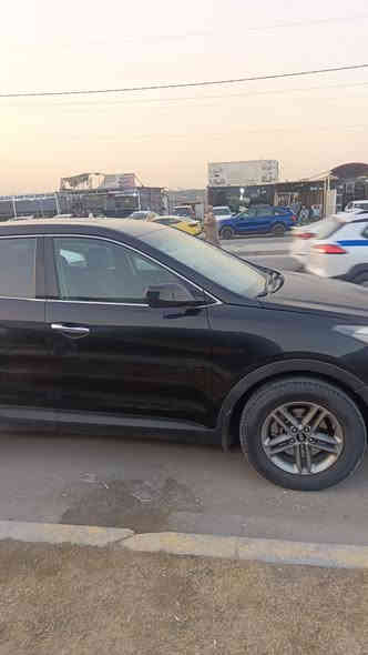 سنتافيا 2017  / ***********
