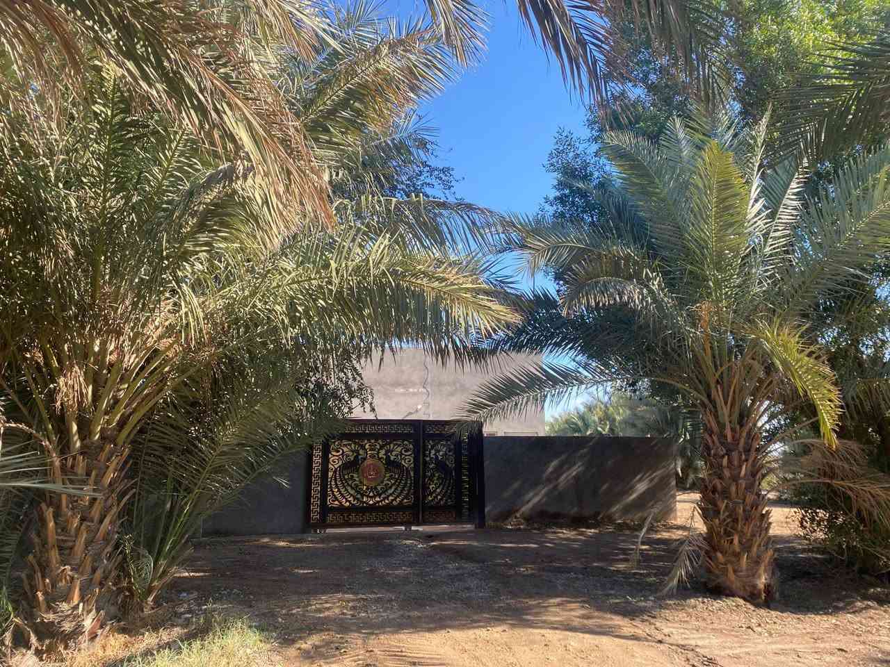 مزرعه لبيع 9دونم طابو زراعي سند 25
مع بيت300م +مضخه ماء سقي الارض
توجد فيها كافت الخدمات
 تبليط +ماء اساله+ كهرباء+نهر سقي الأرض 
العنوان الديوانية قضاء الشافعية 
لاستفسار أكثر اتصل على الرقم ***********
