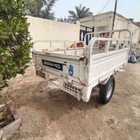 ستوته ٢٠٢٠ • أوراق كاملة • معمرة مكينة