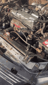 اللهم صلى على محمد وال محمد 

شلونكم حبايبي 

تبديل محرك لانسر. بومه حجم 15 قبق. ابيضّ  ياباني 
لسيارت اخونه من محافظة جديدة لشط 
مع ضمان 10ايام عمل لمحرك 

سعر الطابوكه ب650 ألف 

خدمات داوود  قطع غيار السيارات لانسر بومه +قرش+سمكره+صبغ عام +تعديل 🚖🚖

العنوان بعقوبه حي المعلمين 

هاتف ***********
@الجميع
