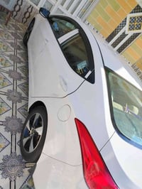 النترا • ٢٠١٣ • مكفولة