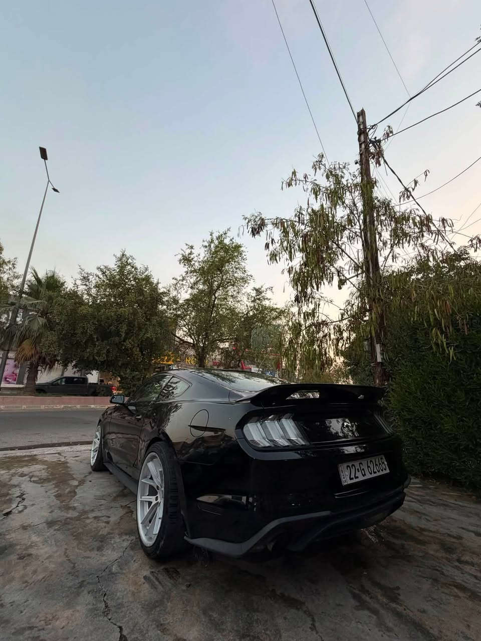 لبيع فقط موستنكً2017 كير عادي v6
سياره نضيفه وبدون نقص 
ماشيه 55 mi
سياره حادثها ربع جاملغ سكن صبغ وبيها 3 مكانات تعديل بارد
عليها وياله 20تو سايز فيراده 
بك لايتات ابيض اصلي 
بجم GT 
شاشه سنك 3
سياره مرتبه كلش 
مكانها كركوك 
رقم اربيل تحويل مباشر 
سعرها 139وبيها مجال بسيط 
***********
