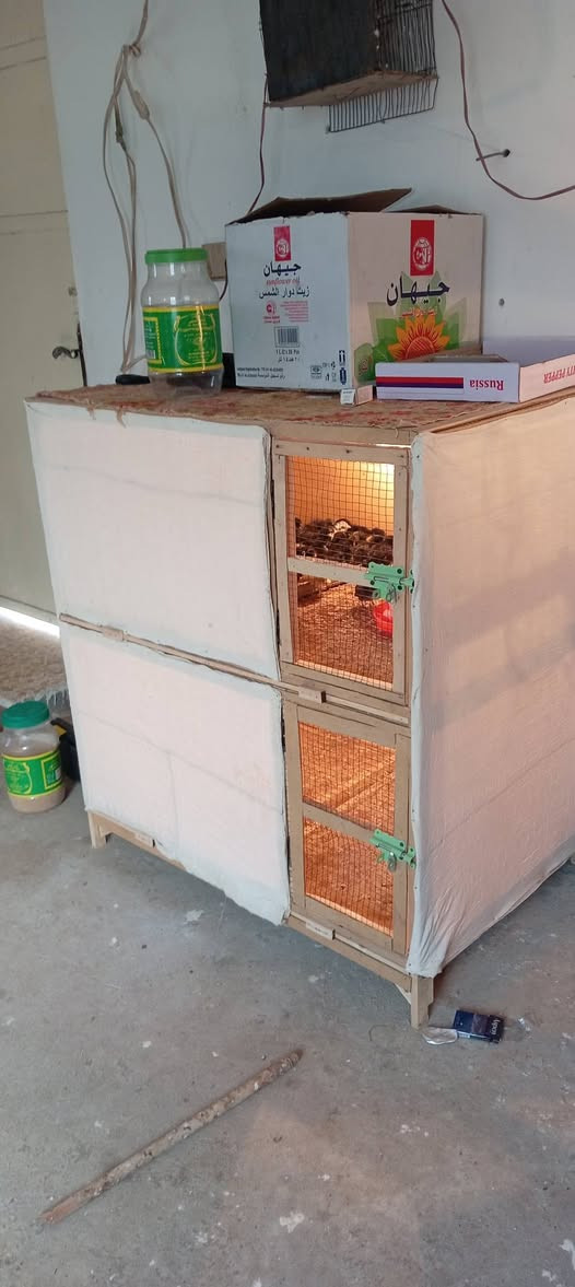 متاح للبيع قفس سعر ٥٠الف وبي مجال ***********
