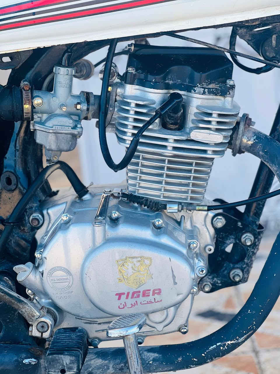 سلام عليكم دراجه للبيع كلك مكينه تايگر مديل21مكينه بطله شاصي مكفول تعمير غراض كله جدد دراجه سامته سعر 550وبيه مجال(الويل الگدام مو للبيع)مكاني بصره خور زبير رقم تواصل ***********
