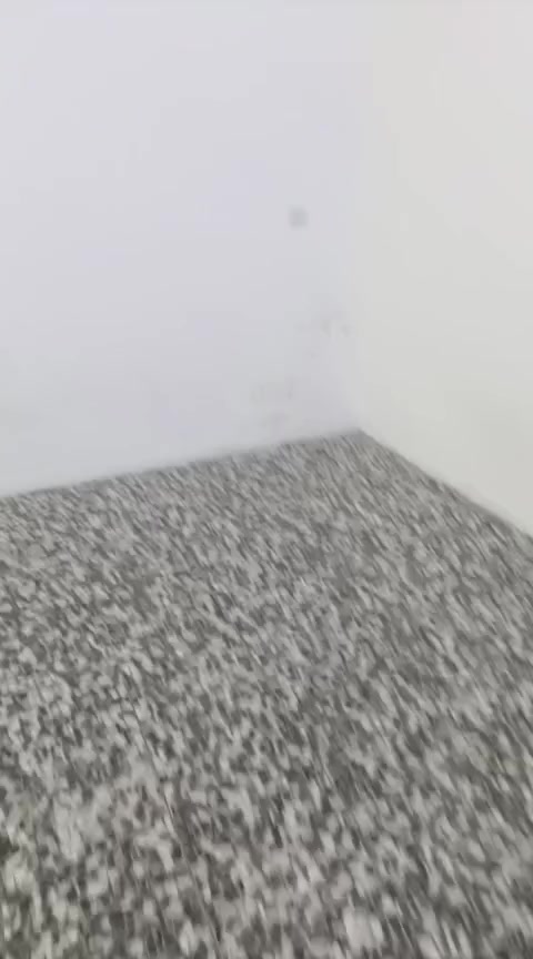 مشتمل طابق أول معزول غرفه وصاله مطبخ استقبال خدمات صطحين بلديات شارع الجامع سيد صلاح ***********
