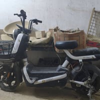 دراجة شحن • حجم ١٤ • مطلوب