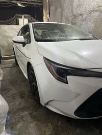 كورلا امريكي • اربيل