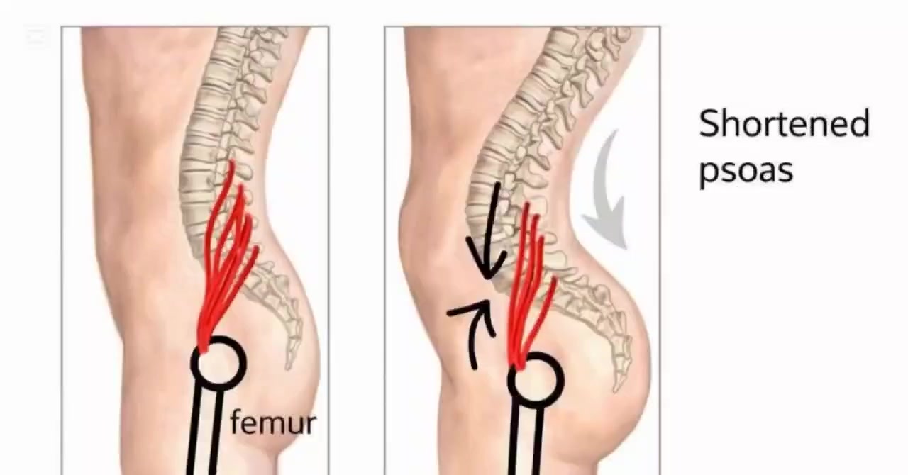 عضله وحده تسوي ألم #فضيع في الظهر 

✨🌿  #عيادة_العامريه_للعلاج_الطبيعي_والتأهيل_الطبي  🌿✨

المعالج الاختصاص/ حمزه محمد  
يوجد كادر نسائي 
ايام الدوام : يوميا ماعدا الجمعه 
📍 العنوان: [ عامرية الصمود - مجمع النور الطبي ] 
📞 للحجز والاستفسار: [  ***********  ]
