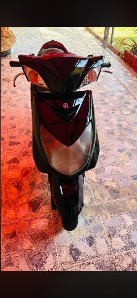 سلام عليكم دراجة سكنس فحل للبيع الصالنصة رياضي بيهة هاي بدلتهة مو هاي الصالنصة هسة بيهة رياضي العنوان بغداد الجديدة النعيرية السعر 700 الرقم ***********
