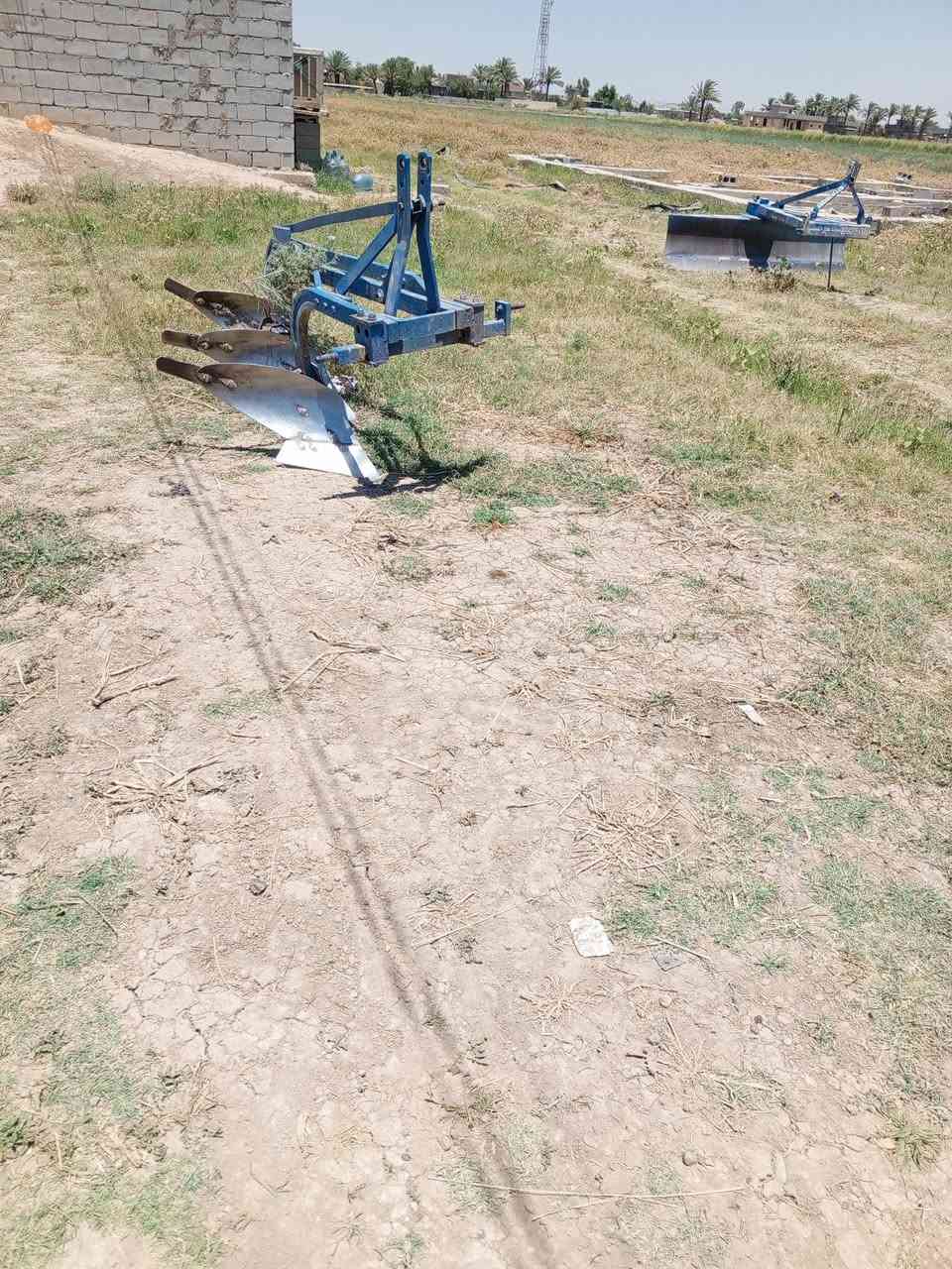 فدان سكندريه عل فحص فول كراب حجم 12/***********
