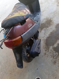 حبايب بطه للبيع ب140وبيها مجال شراي يتصل07750057432