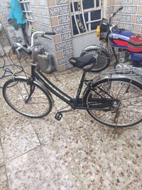 باسكل ٢٦ • ياباني • الديوانية