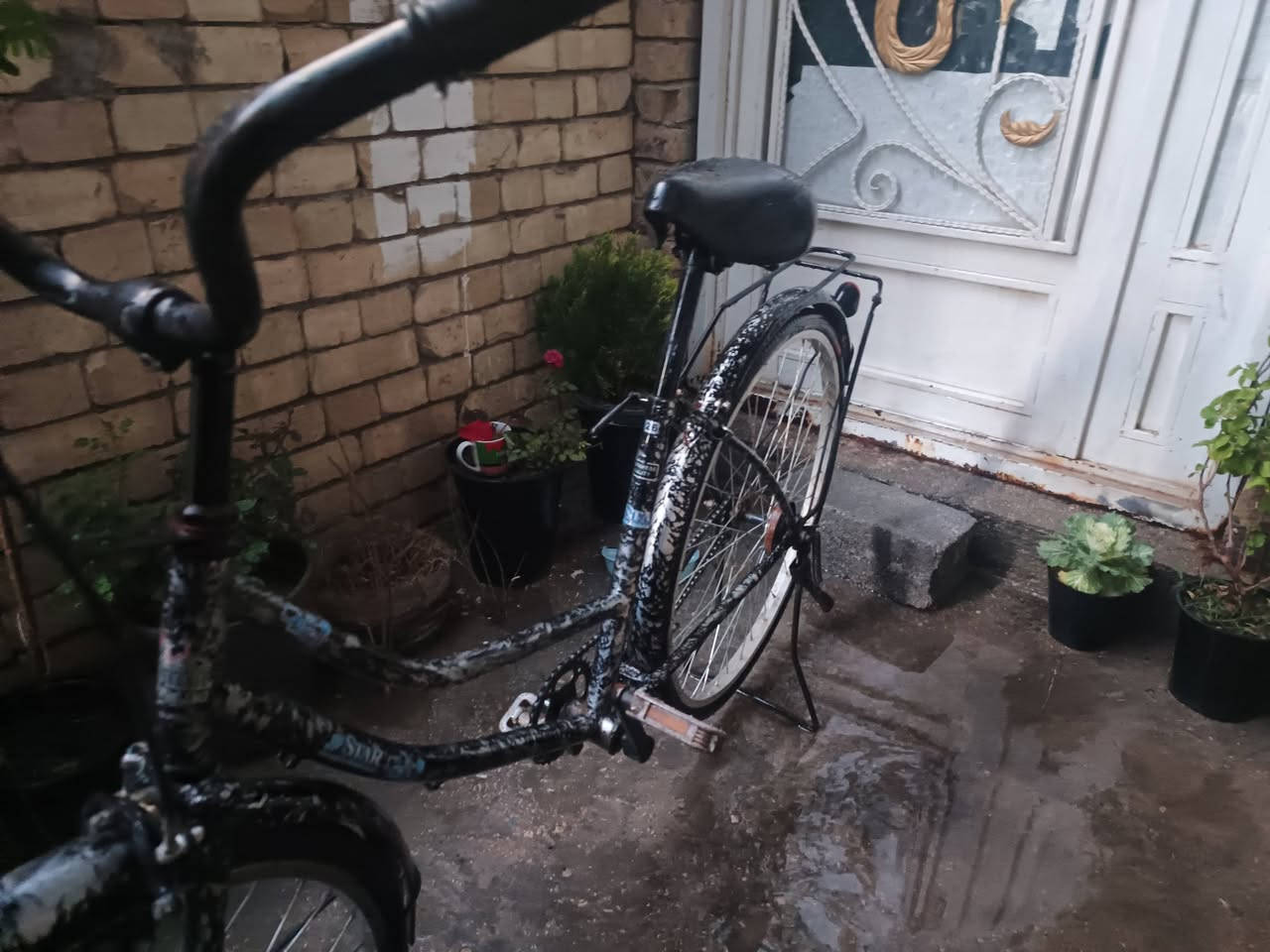 سلام عليكم باسكل البيع بكربلاء فول نضافه اي عطل مابي تفحصه وتاخذه مكاني، كربلاء حي العباس رقمي بي وتساب *********** قفله 50شراي يراسلني
