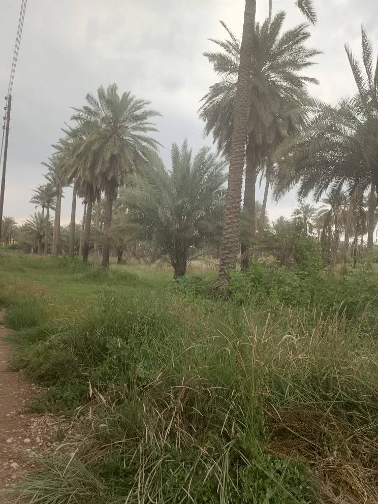 نصف دونم للبيع
 ملك 25
العنوان المدائن
مقابل الفرقة الاتحادية
ثالث دونم عن الشارع العام
الواجهه 51 ونصف النزال 24 ونصف
الخدمات
ماء اسالة+كهرباء+ماء سقي
للاستفسار عن السعر الاتصال على الرقم *********** بغداد, العراق
