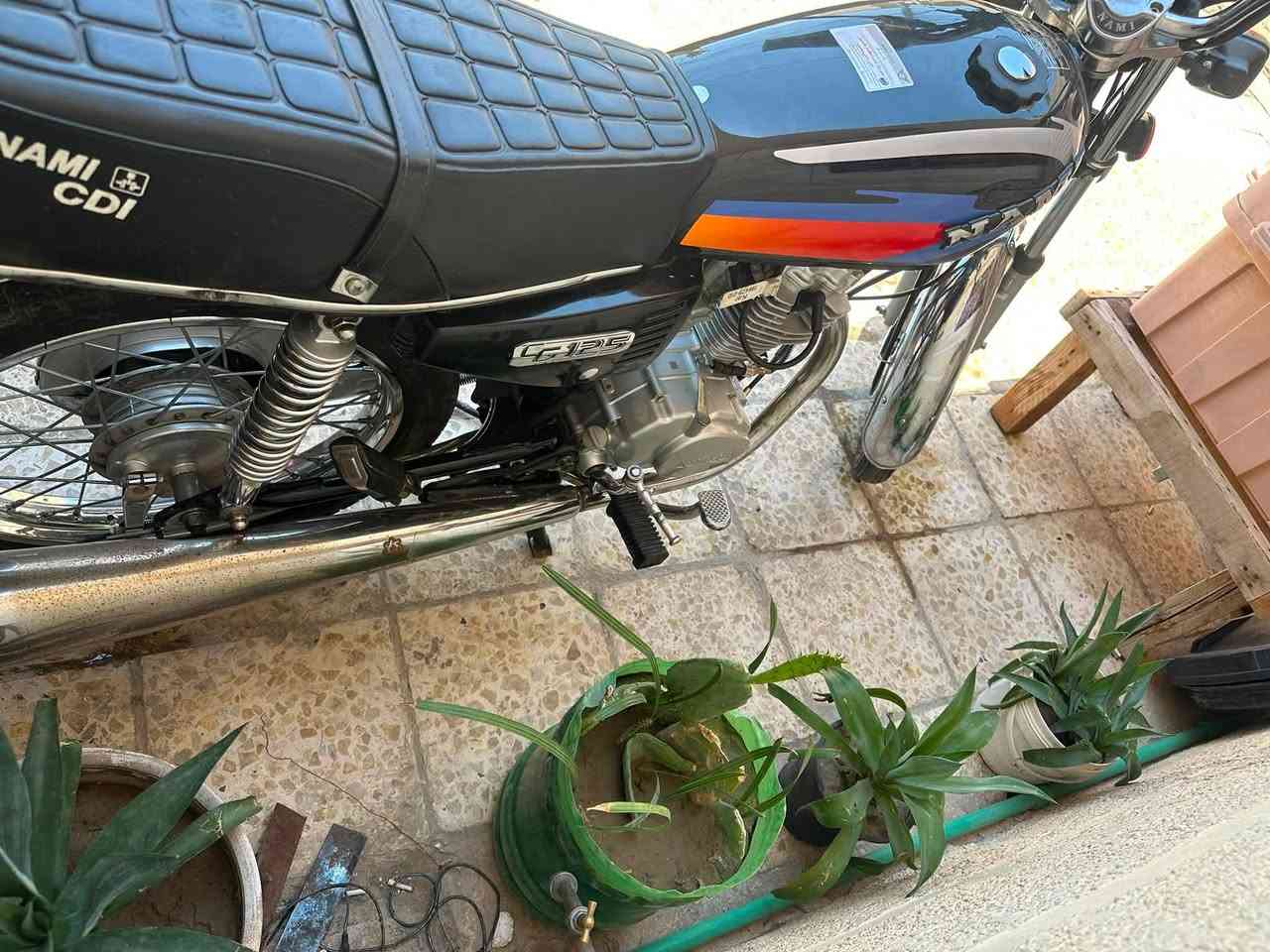 للبيع نامة شلامچة موديل 23دراجة نظيفة وحلوة اوراق اصولي سبعة مو اربعة ينرادلها ترتيب الدراجة السعر 900 وبيها مجال شي قليل مكان كربلاء هذا رقمي***********مو شراي ليتعبني
