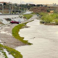 الديوم • ٣٠٠م • قطع اراضي