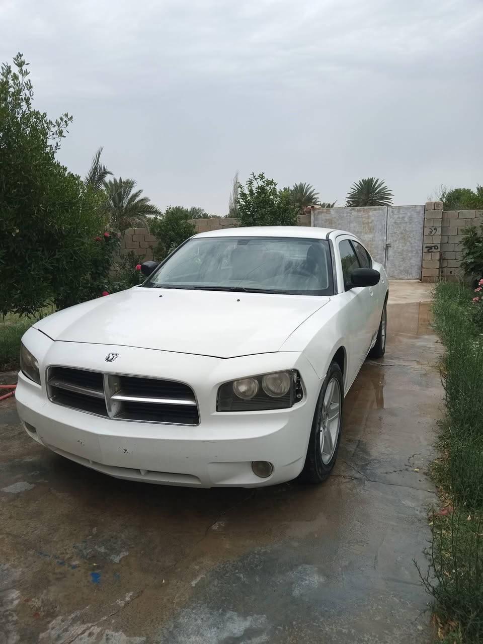 سلام عليكم جارجر 2010 كفاله عامه فقط صبغ جماليه محرك 6 سلندر 3600 مزاد وزارة الداخلية سياره نضيفه وما ماشيه 36 الف 
المكان ديالى دلي عباس
السعر : 95 ورقه
للاستفسار اكثر  :  ***********
