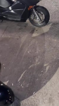 فورزا • شغل يخبل • معدل