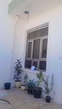 دار للبيع بشارع الكبيسي بلفحامه مساحه 100 م بناء جديد 3 غرف نوم واستقب...