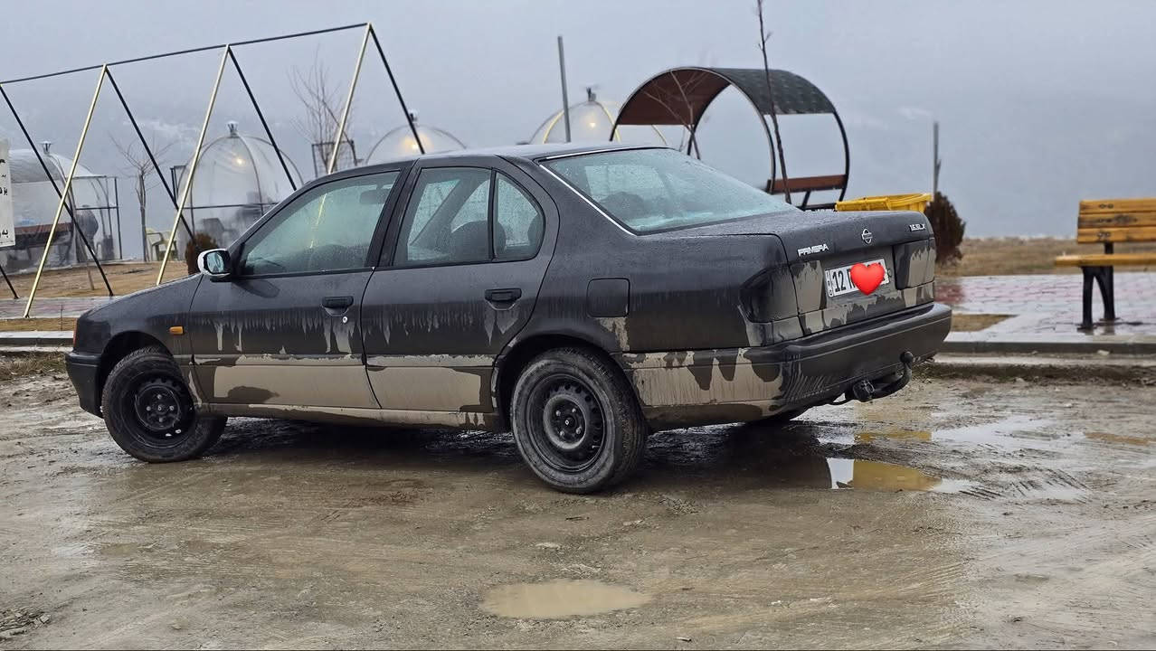 السلام عليكم ورحمة الله وبركاته
للبيع برايمرا موديل 1991

سيارة جاهزه نكره سلف

تواير جدد

محررك مرغوب ١٦ شرط تدفئه تبريد شغالات 
 

سياره مال جناي

كهربائيات كلها شغاله من بانزين حماوه كيلو متر   كلهن شغالات

هزه وسنويه جديد بسمي دولي شرط تحويل ولغرامات 

بدون صبغ فقط كم قطعه 

السعر 38 وبيها مجال

للاستفسار الاتصال على الرقم او الواتساب

***********

مكان السيارة الشرقاط اجميلة
