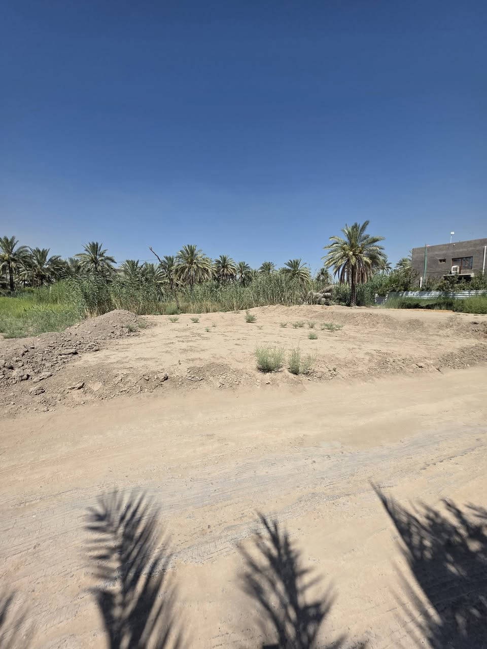 للبيع موقع مميز 
المساحه 500متر طابو زراعي سند 25  على شارع فرعي خلف سكه القطار مجاور اساله المحاويل 
متوفره جميع الخدمات السكن كهرباء وماء اساله ومولد ذهبي
الموقع المحاويل شارع حله بغداد خلف أفران صمون الكراده 
تبعد  القطعه عن شارع حله بغداد 100 متر فقط 
علما يتععهد البائع ان العقار خارج جميع المحرمات 
للأستفســـــــار الاتصال على الأرقام التأليه 

***********

***********

او زياره مكتب المحامي العقاري علي راجي العلواني الكائن المحاويل مدخل حي 17 قرب فينيسا
