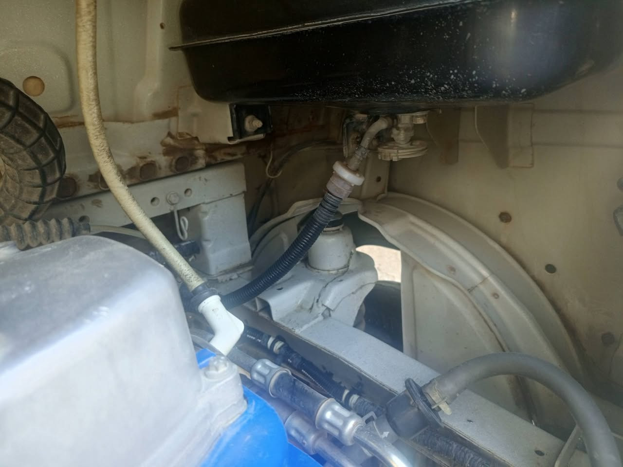 السلام عليكم تيك توك 21 مقفوله من الطخه ومن المعجون فقط بس بوشه وبستم ***********
