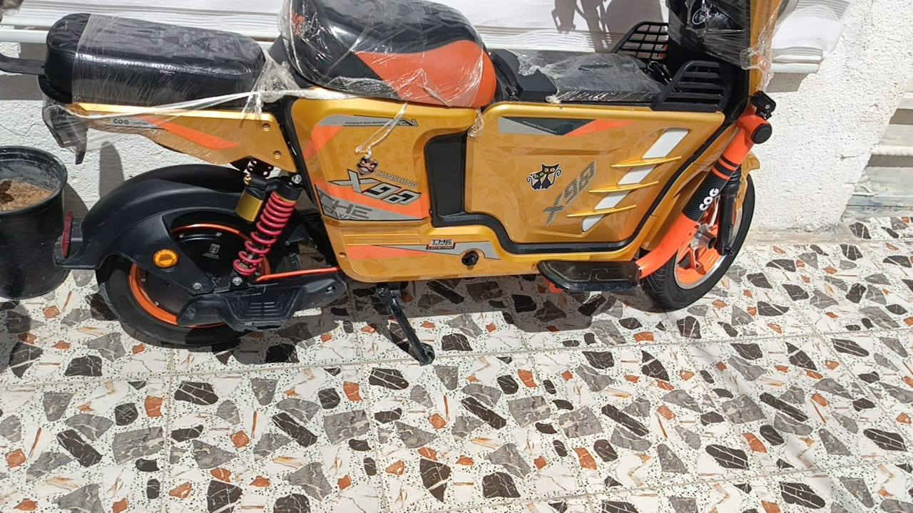 سلام عليكم دراجه شحن للبيع اكس 900 دراجه جديده بطاريات جدد 5 33 امبير 12 فولت دراجه دراجه جديده دراجه حلوه مرتبه لايت عالي وناصيه شاير شغالات كهرباتك كلها جديده بريكات حلوات بريكات ورا جديد قدام جديد دراجه نظيفه سعر 500 اويها مجال رقم الهاتف ***********
