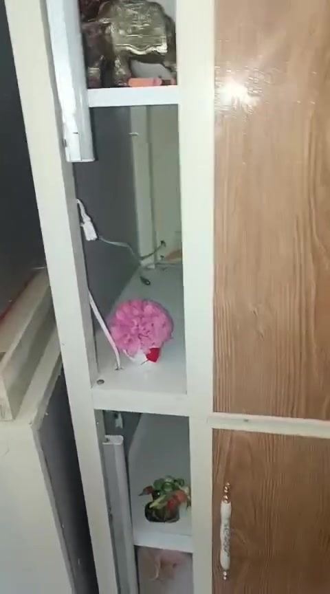 السلام عليكم كاونتر للبيع الكسورات يتصلحن قبل نقل


**إذا كنت صاحب هذا الإعلان وتريد حذفه لأي سبب، رجاءا أرسل رسالة إلى الدعم الفني**