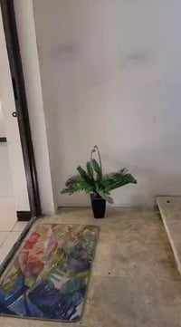 يالله سلام عليكم شقه للايجار طابق اول يحتوي على صاله ومطبخ وخدمات و غر...