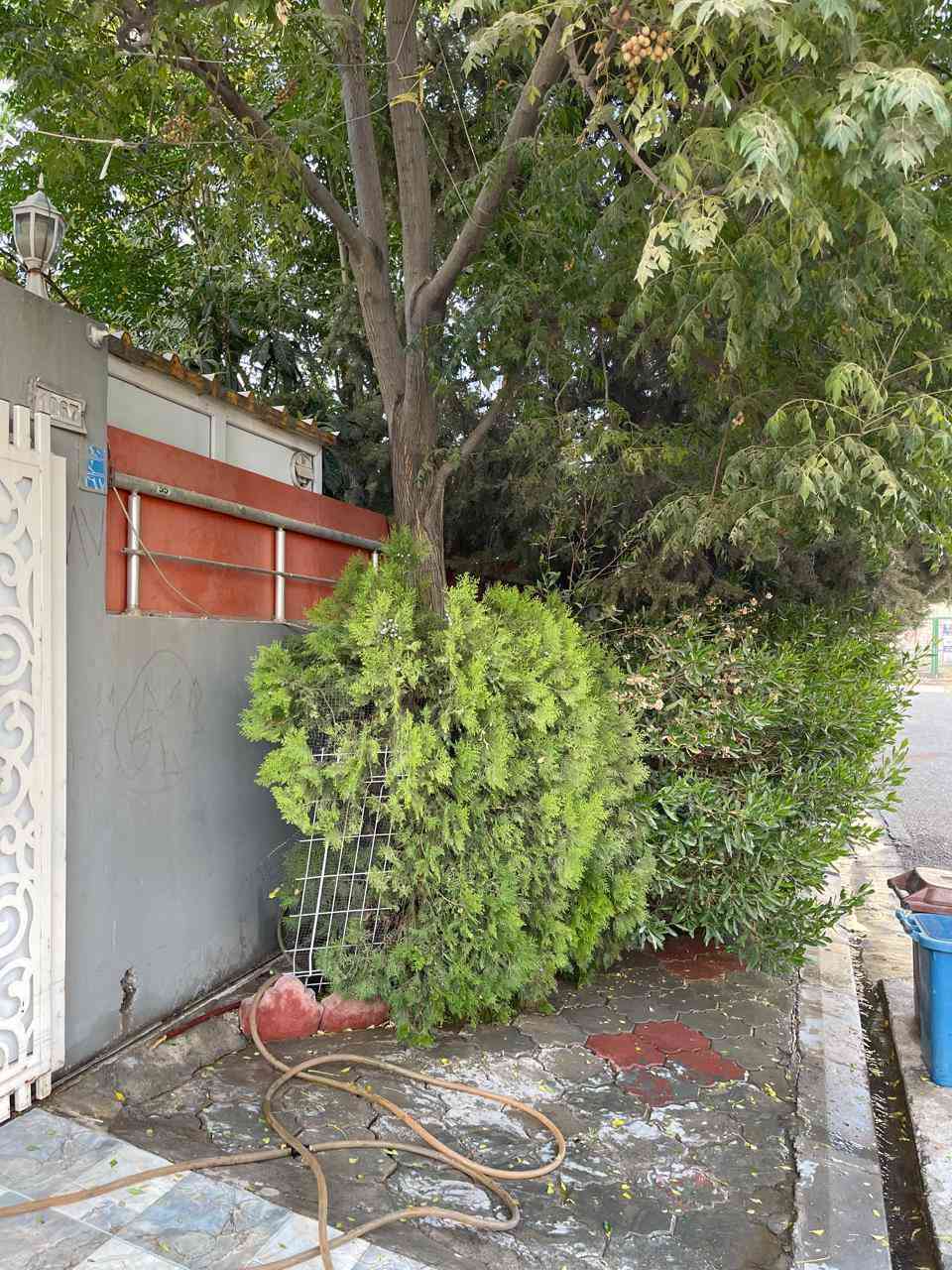 لاوان ستي بيت نقد  ***********-***********
