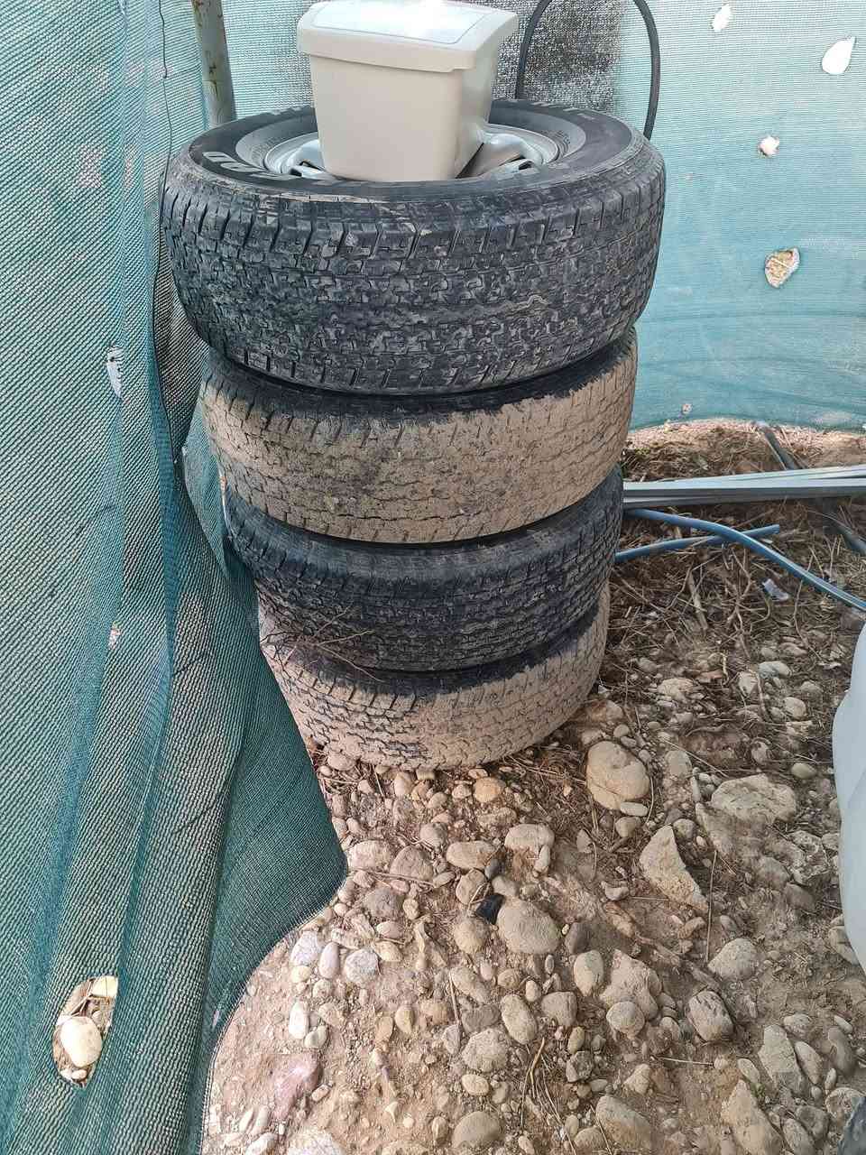 سڵاوی خوداتان لێبێت تاقم ویل مەرزییە دەبڵ ئەکسل تایەکان نەخش بیلادن  زۆرباشن کەمڕۆشتوون ویلەکان لۆکن کاپی بیلادی لەگەڵدایە هەموو بەیکەوە دەفرۆشم *********** وەتس ئاپ و مێسنجەر لەخزنەتانم تکایە جوابی کۆمێنت نادەمەوە . سوپاس بۆ هەموتان .ئەدمینی دڵ وەری گرە
