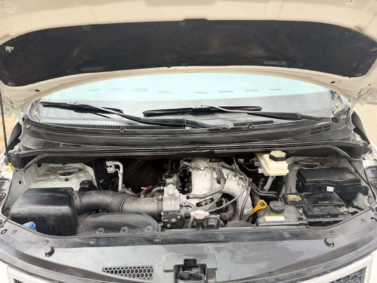 ستاریکس 2008 
بنزین  اوتوماتیک 
سنویە لحد 2029 
من دعامية   للدعامية. بشرط 
گیر. و اکسل بشرط 
تبرید تدفە بشرط 
کفالە عامە 
١٣٠ الف ماشية
***********
***********
